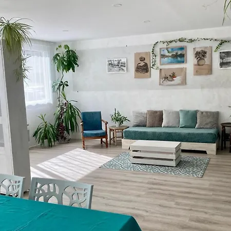 Daire Anglet, Centre Ville, Proche Des Plages Anglet